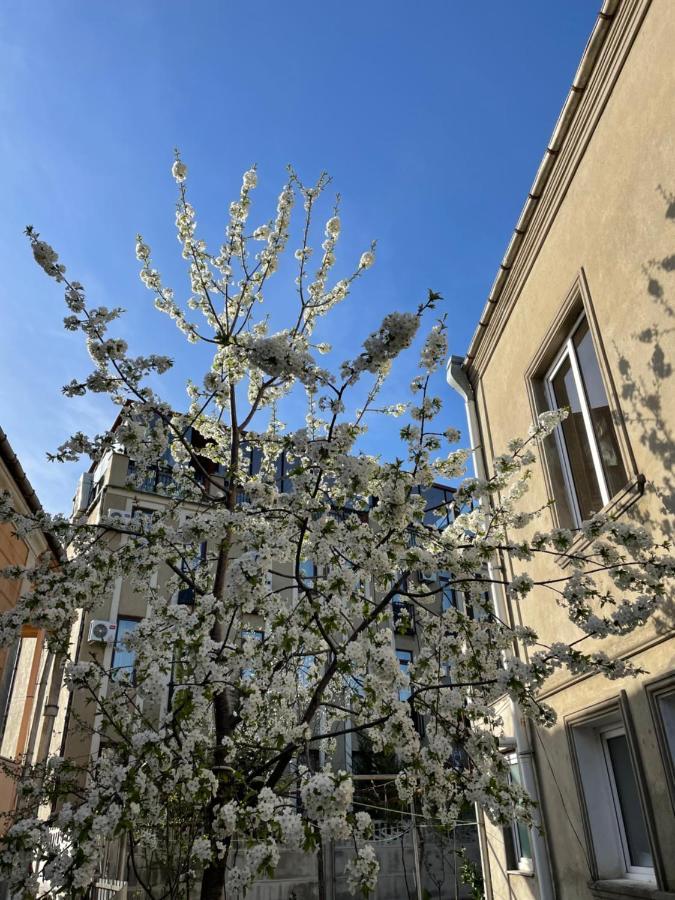 Kvara'S House Кутаїсі Екстер'єр фото